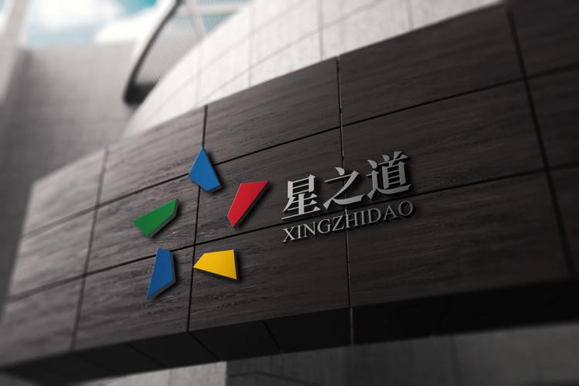 用九易传国学